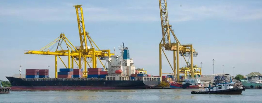 怎样应对疫情下的海运市场逆境？