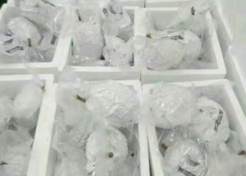 马来西亚入口榴连