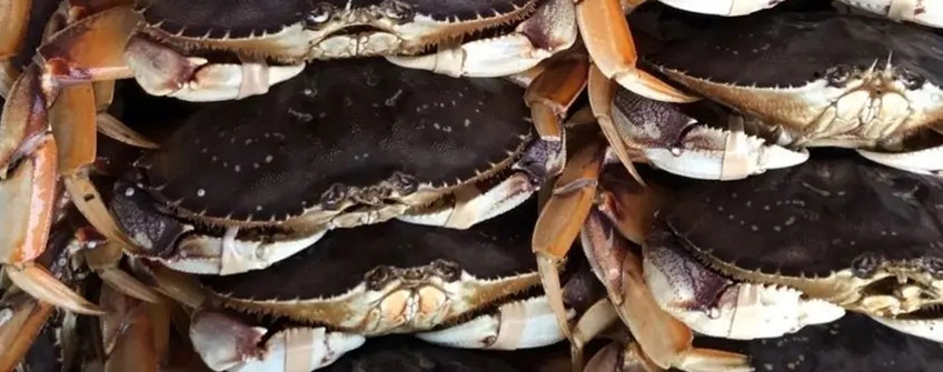 水产入口：海鲜入口从香港中转内地怎样清关？