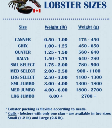 云顶集团·(中国)手机版app下载