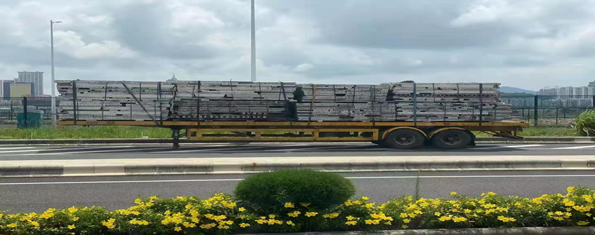 台湾宠物用品入口广州3天到货？云顶集团清关0延误+0破损，宠物店主直呼“真香”！