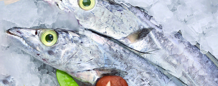 冻带鱼入口报关注重事项？