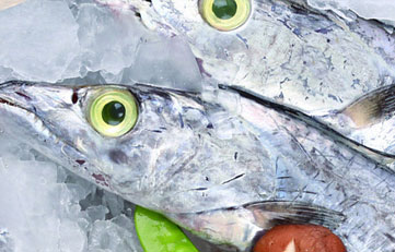 冻带鱼入口报关注重事项？