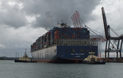 意大利海运入口双清流程