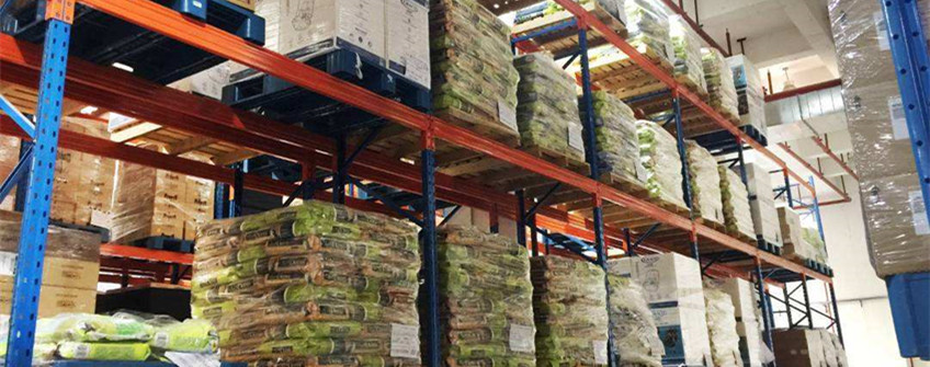  入口宠物粮怎样挑？