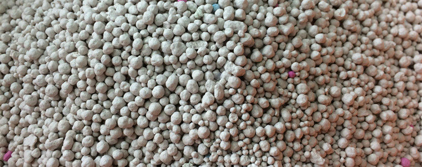 猫砂从外洋怎样入口到海内？