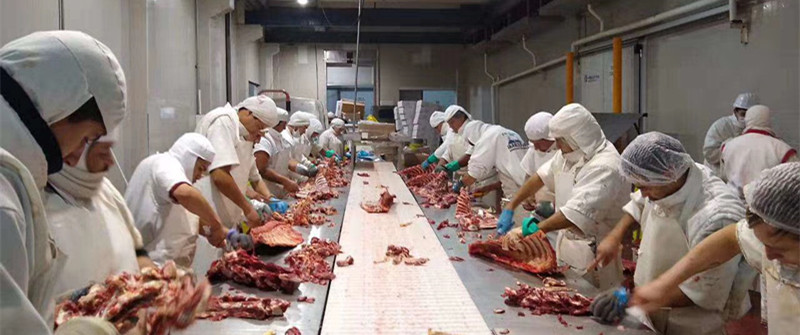 冻品入口报关：入口牛肉署理报关