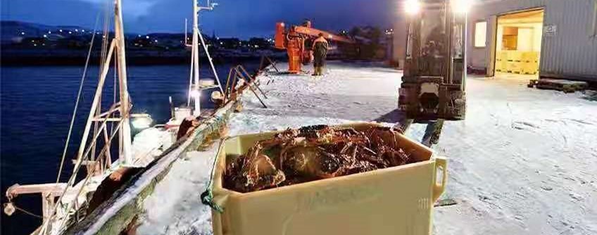 外洋活海鲜入口广州可以清关吗？