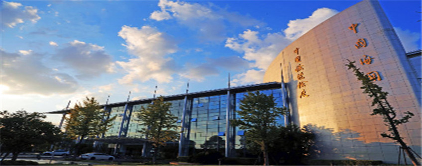 货物入口报关中低报价钱违规吗？云顶集团报关行帮您解惑