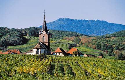 葡萄酒入口报关：法国红酒入口报关要素有哪些？