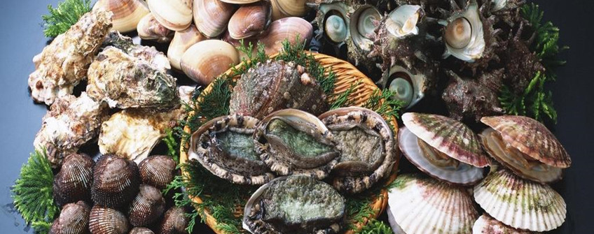 海鲜怎么入口报关？有哪些注重事项？